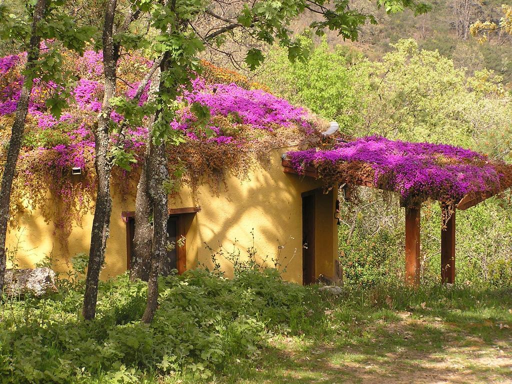 Apartamentos Rurales Ecopangea Valverde de la Vera 部屋 写真