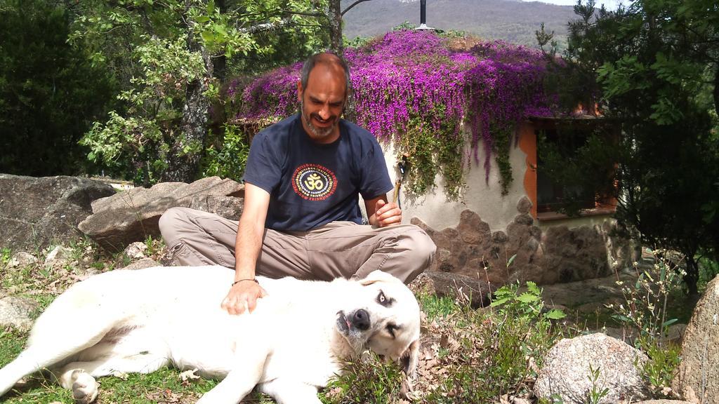 Apartamentos Rurales Ecopangea Valverde de la Vera 部屋 写真