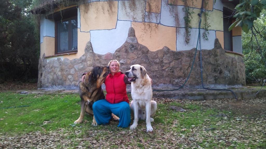 Apartamentos Rurales Ecopangea Valverde de la Vera エクステリア 写真