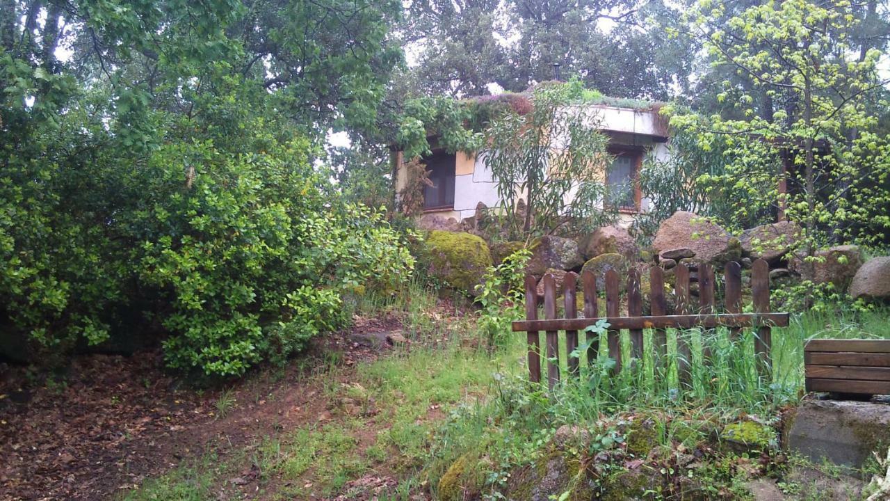Apartamentos Rurales Ecopangea Valverde de la Vera エクステリア 写真