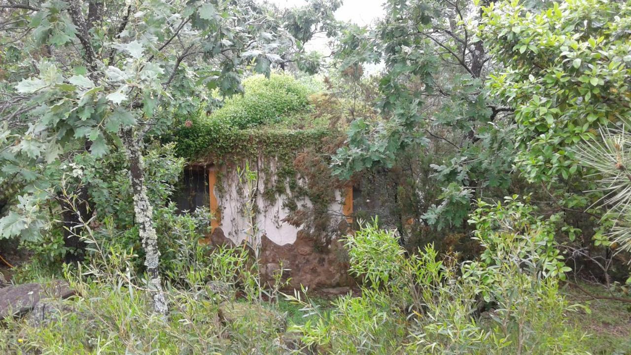 Apartamentos Rurales Ecopangea Valverde de la Vera エクステリア 写真