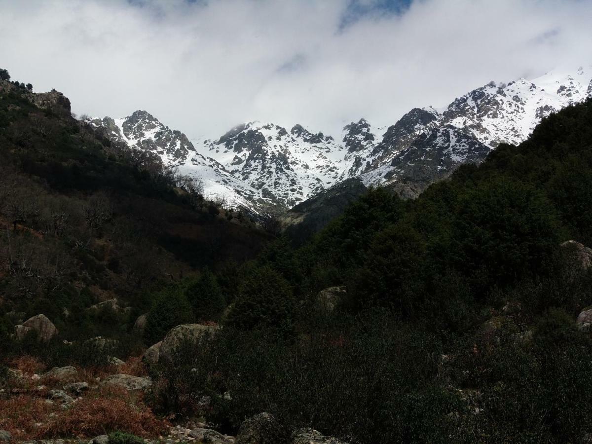 Apartamentos Rurales Ecopangea Valverde de la Vera エクステリア 写真