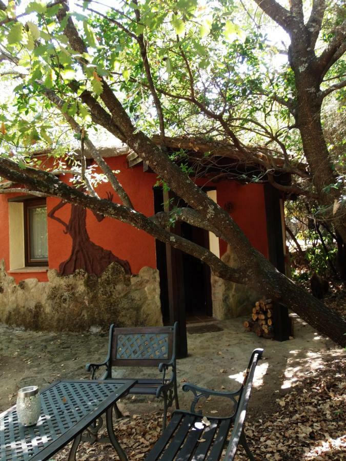 Apartamentos Rurales Ecopangea Valverde de la Vera エクステリア 写真