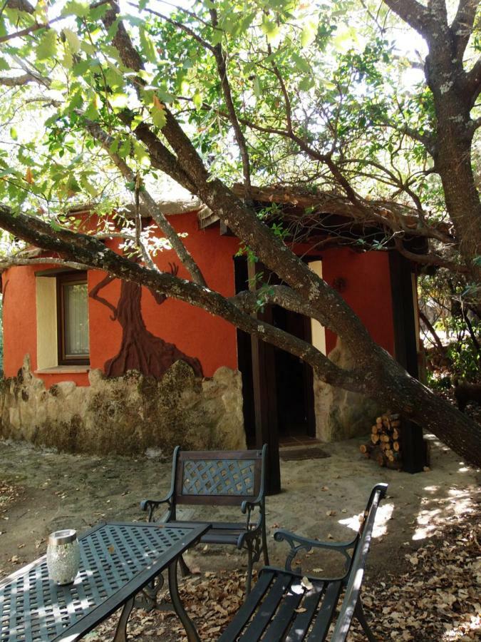 Apartamentos Rurales Ecopangea Valverde de la Vera エクステリア 写真