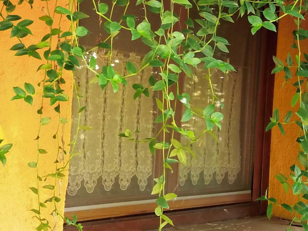 Apartamentos Rurales Ecopangea Valverde de la Vera エクステリア 写真