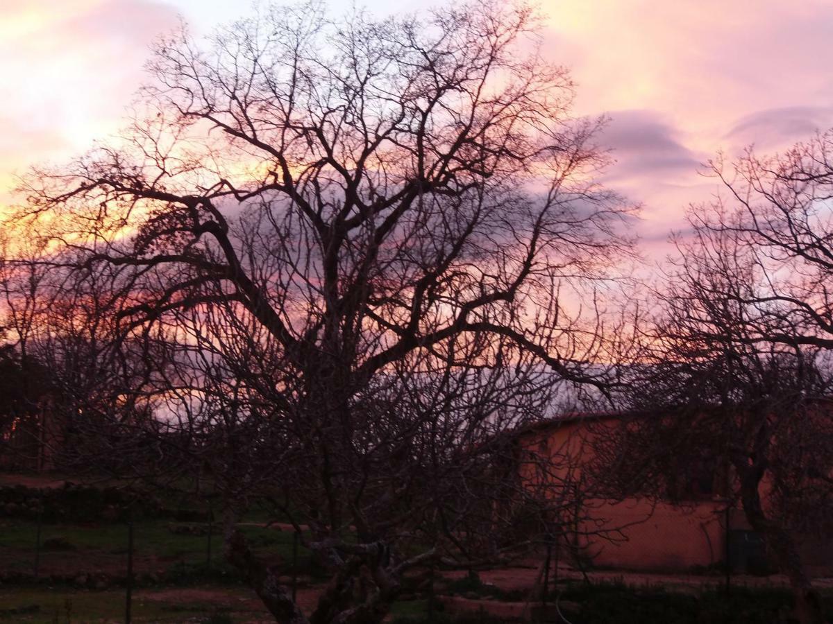 Apartamentos Rurales Ecopangea Valverde de la Vera エクステリア 写真